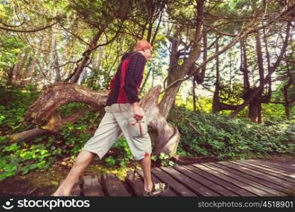 Hiking man in the forest