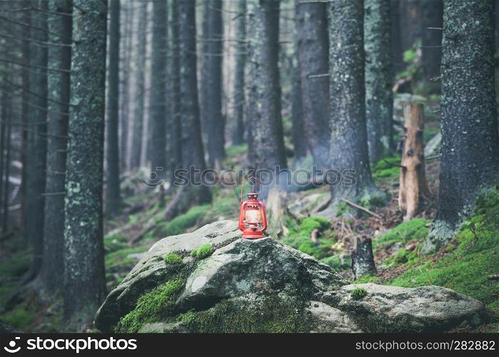hiking rocky path trail and red vintage lantern in foggy misty moody woodland. hiking rocky path trail in foggy misty moody woodland