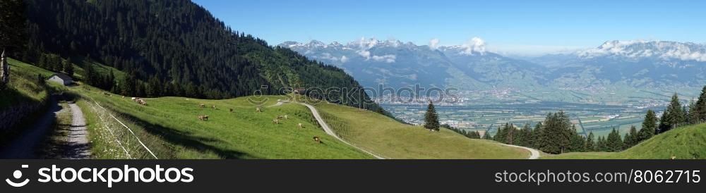 Hiking trail and road on the slope of mount in Lichtenstein
