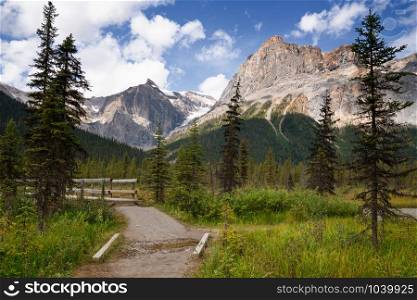 Hiking trail around Emerald Lake, Yoho National Park, British Columbia, Canada
