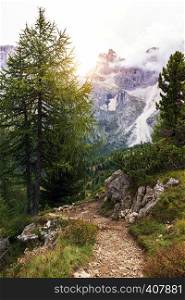 hiking trail in the mountains Dolomites, Italy. San Martino di Castrozza