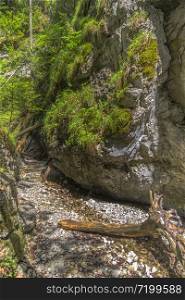 Hiking trail in the park Slovak Paradise in the Tatras. Spisska Nova Ves. Slovakia