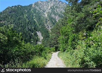 hiking trail through the forest slopes of the mountains in summer sunlight with a view of distant peaks and ranges in the scenic Andorran landscape