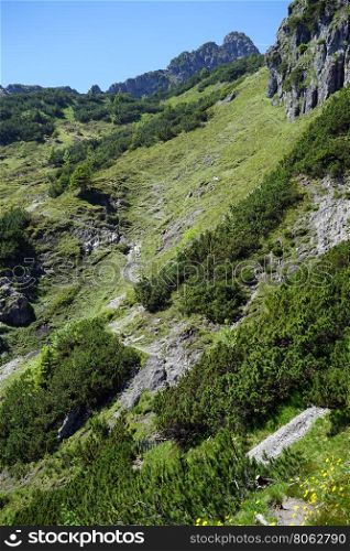 Hiking trail Via Alpina in mountain area of Lichtenstein