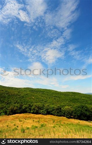 Hill In Tuscany, Covered With Beech Forests