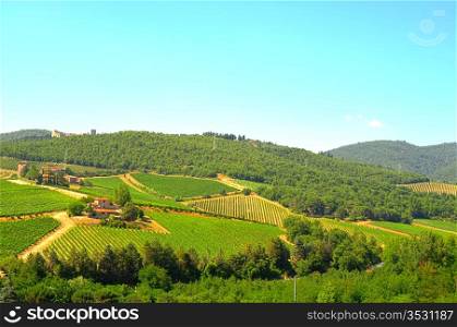 Hill Of Toscana With Vineyard In The Chianti Region