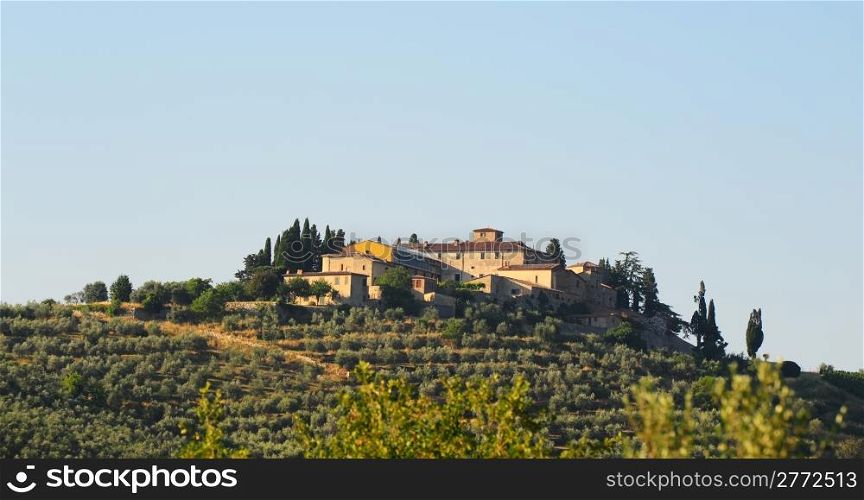 Hill Of Tuscany With Olive Plantation In The Chianti Region