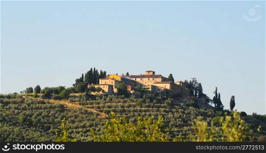 Hill Of Tuscany With Olive Plantation In The Chianti Region