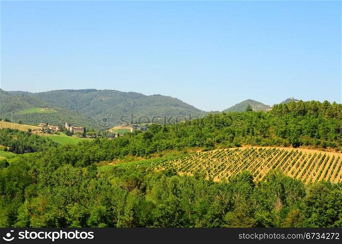 Hill Of Tuscany With Vineyard In The Chianti Region