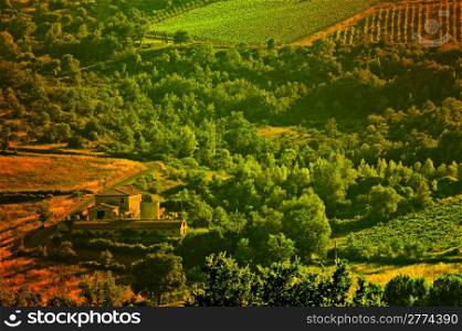 Hill Of Tuscany With Vineyard In The Chianti Region in the Evening
