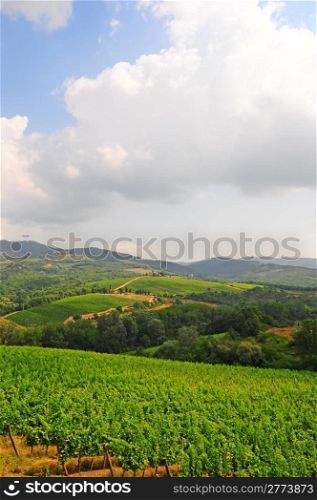 Hill Of Tuscany With Vineyards In The Chianti Region