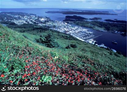Hill overlooking coastal town, Kodiak, Alaska