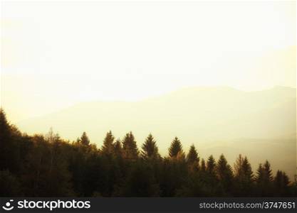 Hills beautiful landscape in the mountains sunset or sunrise Bieszczady Poland