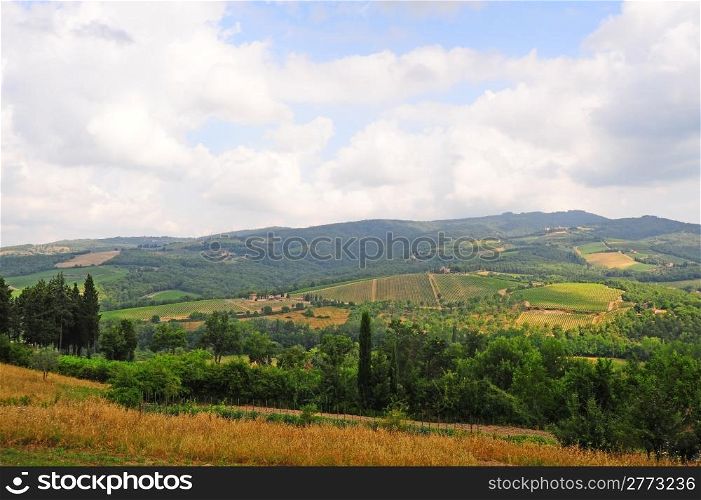Hills of Tuscany with Vineyards and Olive Plantations in the Chianti Region