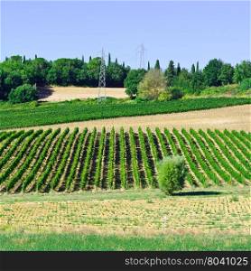Hills of Tuscany with Vineyards in the Chianti Region of Italy