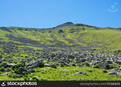 Hills on the mountains of Artvin Province in the North East of Turkey