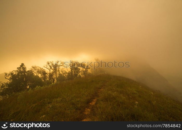 hills sunrise and mist