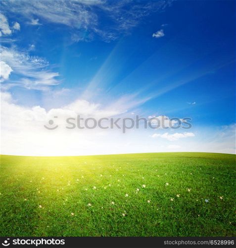 Hills with flowers sunrise. Hills with flowers sunrise. Summer good weather. Hills with flowers sunrise