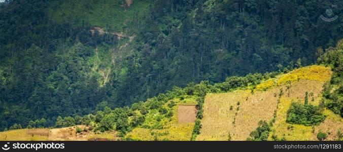 Hillside farming in Guatemala on steep ridges in patchwork shapes
