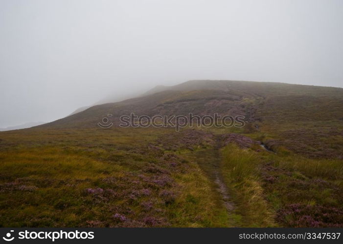 Hillside in the Highlands of Scotland