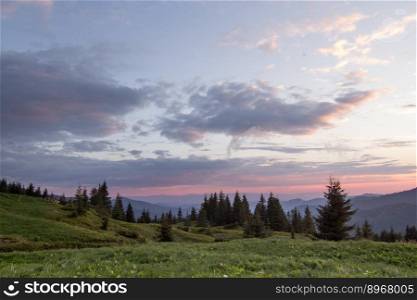 Hillside with spruce trees landscape photo. Beautiful nature scenery photography with sunset sky on background. Ambient light. High quality picture for wallpaper, travel blog, magazine, article. Hillside with spruce trees landscape photo