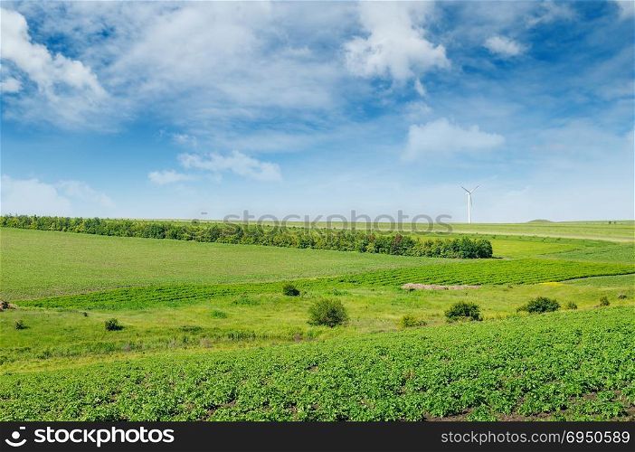 Hilly green field and windmill on blue sky background. Agricultural landscape.