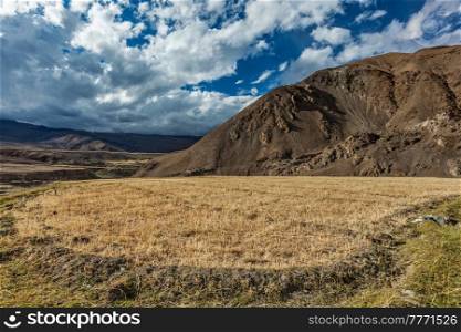 Himalayan landscape with agricultural fields in mountains. Ladakh, India. Himalayan landscape. Ladakh, India