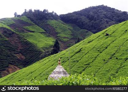 Hindu temple on the tea plantation, Malaysia