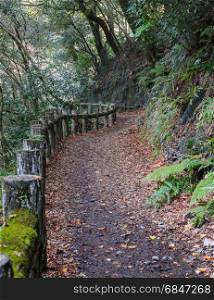 Hinking trail at Minoo or Minoh park in autumn, Osaka, Japan. One of Japan&rsquo;s oldest national parks.