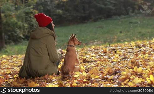 Hipster girl in trendy parka and red knitted hat and cute loyal dog friend enjoying tranquility of indian summer together. Back view. Portrait of young woman and doggy sitting on yellow fallen foliage and looking at the distance in gold autumn park.