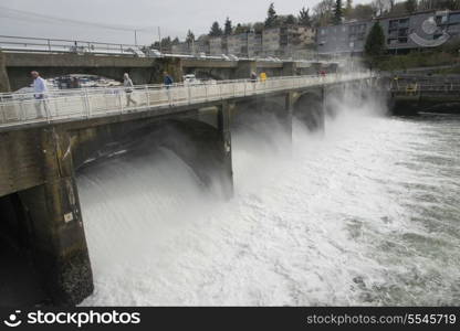 Hiram M. Chittenden Locks and Carl S. English Jr. Botanical Garden, Lake Washington Ship Canal, Seattle, Washington State, USA