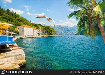Historic city of Perast at Bay of Kotor in summer, Montenegro. Hot day in Perast