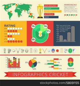 Historical background facts and international cricket matches statistics diagrams charts and rating report poster abstract vector illustration. Infographics report cricket poster