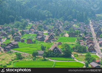 Historical Japanese village Shirakawago in spring