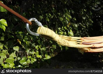 hitch hammock between trees