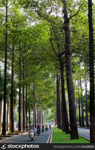 HO CHI MINH CITY, VIET NAM- MARCH 25, 2019: Amazing green trees at Saigon inner city in hot day of summer, beautiful, straight and tall row of tree along street make fresh air and nice urban landscape