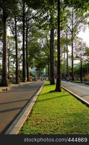 HO CHI MINH CITY, VIET NAM- MARCH 25, 2019: Amazing green trees at Saigon inner city in hot day of summer, beautiful, straight and tall row of tree along street make fresh air and nice urban landscape