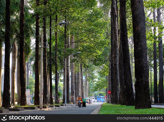 HO CHI MINH CITY, VIET NAM- MARCH 25, 2019: Amazing green trees at Saigon inner city in hot day of summer, beautiful, straight and tall row of tree along street make fresh air and nice urban landscape