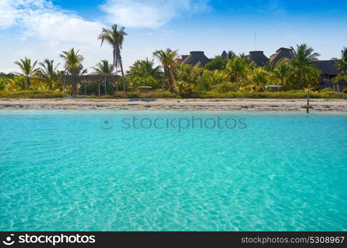 Holbox Island beach in Quintana Roo of Mexico