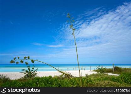 Holbox Island beach in Quintana Roo of Mexico