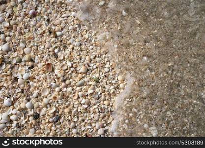 Holbox island beach shells sand texture Mexico