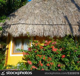Holbox Island colorful Caribbean palapa hut in Quintana Roo of Mexico