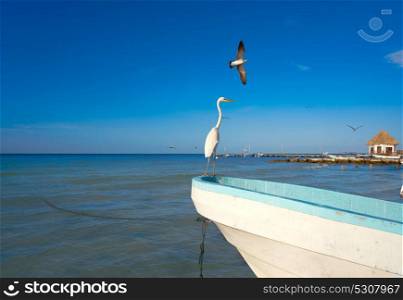 Holbox Island heron bird and boat in the beach Quintana Roo of Mexico