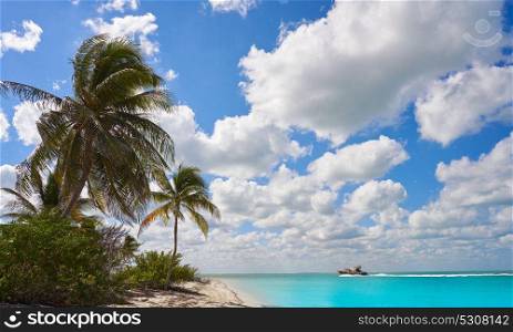 Holbox Island paradise beach palm trees in Quintana Roo of Mexico