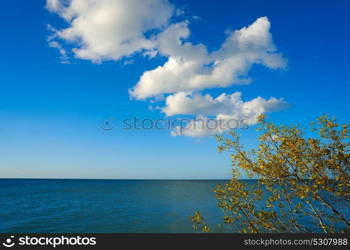 Holbox island tropical beach in Mexico