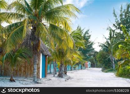 Holbox island tropical palm tree and huts in Mexico