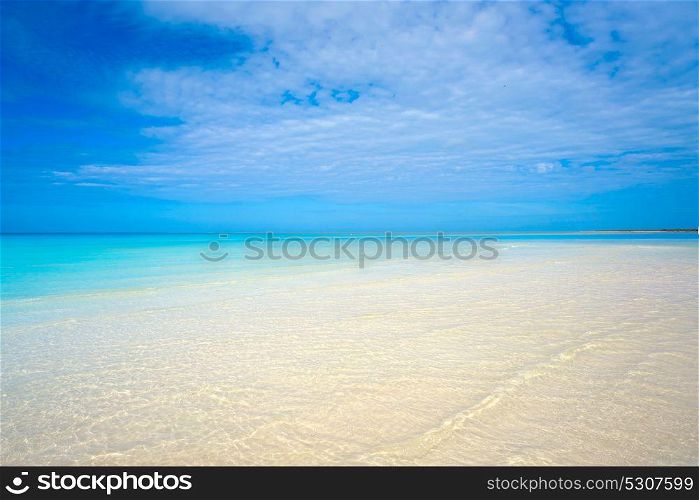 Holbox tropical Island beach in Quintana Roo of Mexico