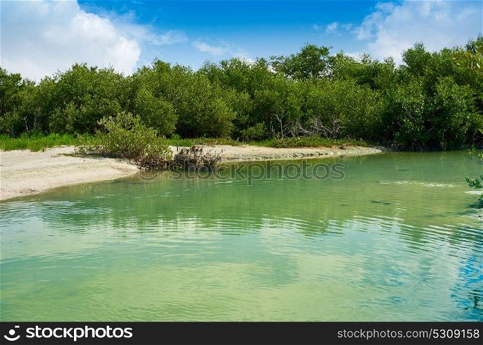Holbox tropical Island lagoon in Quintana Roo of Mexico