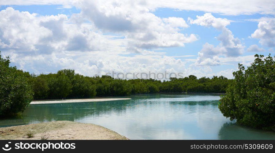 Holbox tropical Island lagoon in Quintana Roo of Mexico