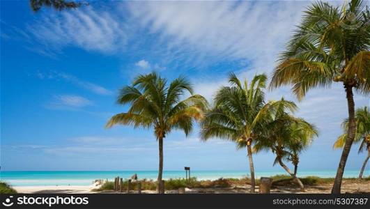 Holbox tropical Island palm tree beach in Quintana Roo of Mexico